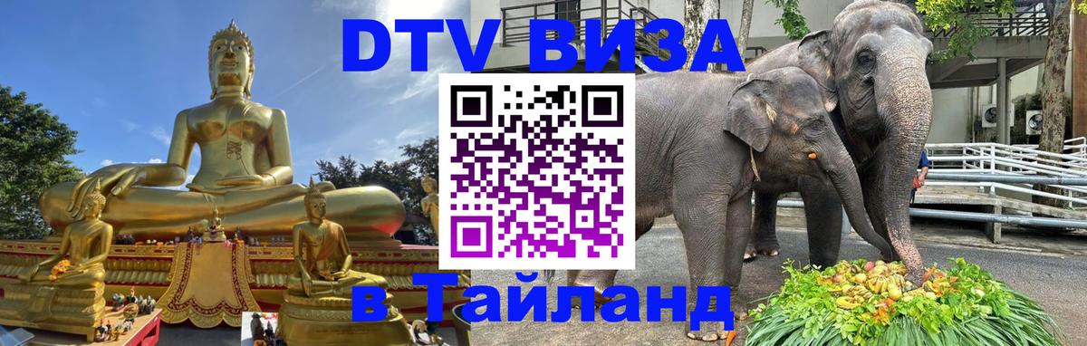 DTV Виза в Тайланд для россиян Брянск 